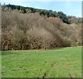 Sirhowy valley and wooded hillside north of Ynysddu