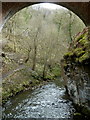 SK1273 : River Wye below viaduct arch, Chee Dale by Andrew Hill