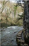SK1273 : River Wye, Chee Dale by Andrew Hill