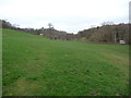 Fields above the River Alyn / Afon Alun