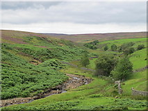 NY9843 : The valley of Stanhope Burn below Steward Shield Meadow (2) by Mike Quinn