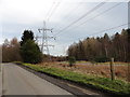 NZ1358 : Pylons in Chopwell Woods by Robert Graham