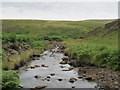 NY9842 : Stanhope Burn below its confluence with East Whiteley Burn by Mike Quinn