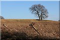 Field by Watermill Lane