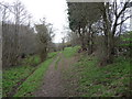 Path on a field boundary near Bradley, Wrexham