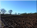 Freshly ploughed