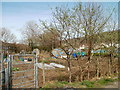 Ynysddu allotments