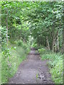 Trackbed of the former mineral railway between Ashes Quarry and Crawleyside (6)