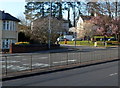 Early spring blossom, Malpas, Newport