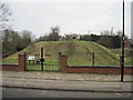 Peel  Hill  Motte