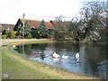 The Duck Pond and Old Converted Barns at Wilstone Great Farm