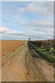 Farm track off Hall Lane