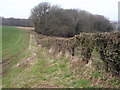 Footpath from Shotters Farm