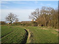 The footpath from East Bridgford