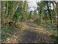 Footpath, Clandon Park