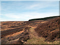 Track in Waskerley valley