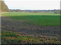 View across fields towards Buckland Common