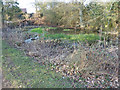 Pond at Shirelane Farm