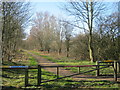 Brandon - Bishop Auckland Railway Path