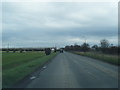 Marsh Road looking east