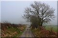 Bridleway descending eastwards from  Bryn Mawr