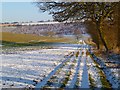 SU3675 : Track and farmland,  East Garston by Andrew Smith