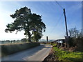 The Tre-Herbert Road, near Croeswen