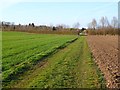 Farmland, Sutton Scotney, Wonston