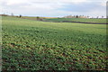 ST9598 : Arable land near Tarlton by Philip Halling