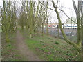 Footpath at Long Clawson