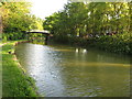 Footbridge over the Canal