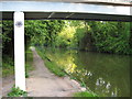 Towpath under bridge 90B by Tinkers Bridge