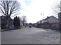 Lynton Avenue - Duchy Drive