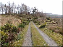 NR9274 : Forest track at Melldalloch by Oliver Dixon