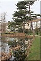 Pond in Alexandra Park