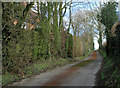 2012 : Byway to Heathy Close