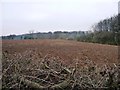 Ploughed field above Ledsham Beck