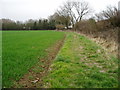 SU9302 : Footpath 149 between crops and caravan park by Peter Holmes