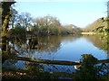 Lake north of Hound