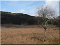 NM9527 : Rough grazing in Glen Lonan by Alan Reid