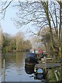 Moorings on the Thames at West Molesey