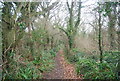 Bridleway to St Catherine