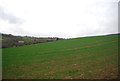 Field, Peacehaven Farm