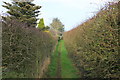 Footpath by Wornish Hall Farm