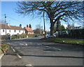 The Street - Crokham Village