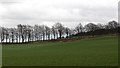 Arable land, Cluny Square