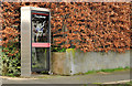 Telephone box, Edenderry, Belfast