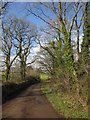 Lane near Huntsham Castle