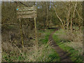 The White Rose Lane nature reserve