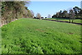 Footpath approaching Noverings Farm